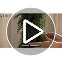 YOFIT 9FT Real Touch Cedar Christmas Garland for Mantle Fireplace - Holiday Decor