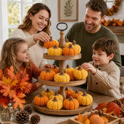 12 Pack Crochet Mini Pumpkins for Fall Thanksgiving Farmhouse Decor
