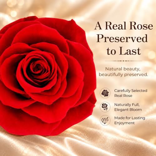 Moissanite Heart Necklace in Preserved Rose Gift Box - Romantic Jewelry Set