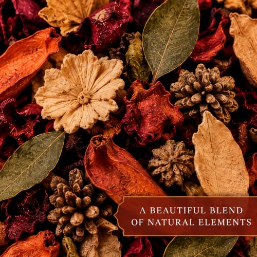 Autumn Spice Potpourri 4 oz - Fall Scented Home Décor for Bowls & Centerpieces