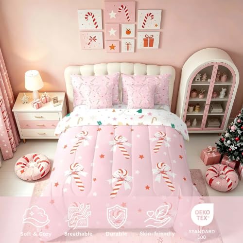 Feelyou Pink Christmas Girl Comforter Set with Sheets Full Size - Red, Pink & White Variation