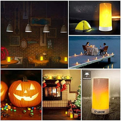 Skiennix LED Flame Effect Fireplace Light - Remote & Timer, USB Rechargeable Flameless Candle - 2 PCS