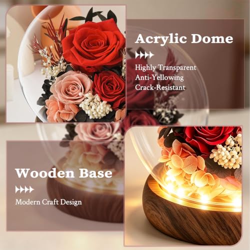 Red Preserved Roses Gift in Acrylic Dome for Her Birthday - Forever Flowers