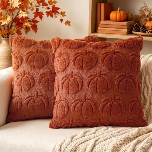 Fall Pumpkin Plush Throw Pillow Covers 18x18 Set of 2 - Rust, Autumn Decor