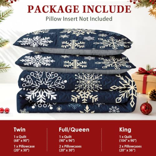 Queen Snowflake Quilt Set - Winter Christmas Bedding 3 Pieces