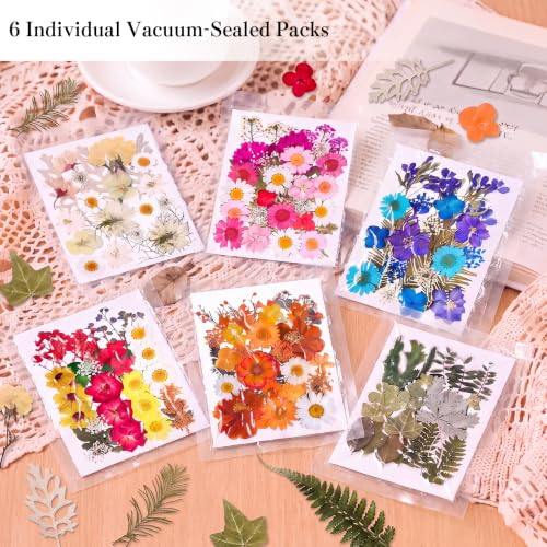 160 Pcs Natural Dried Flowers for Resin Crafts Jewelry Candle Making