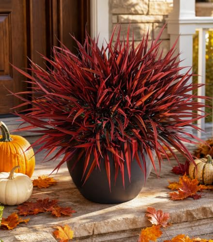 Fall Red Artificial Plants Outdoor Faux Greenery 12Pcs UV Resistant Bushes