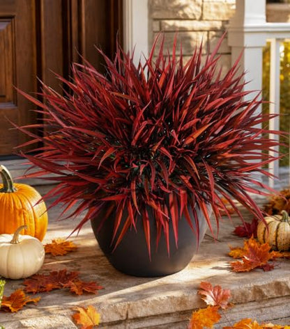 Fall Red Artificial Plants Outdoor Faux Greenery 12Pcs UV Resistant Bushes