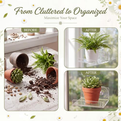 Clear Acrylic Window Plant Shelves - 2 Pack, Suction Cup Floating Ledge for Herbs & Microgreens