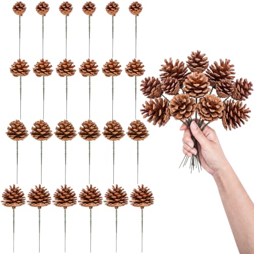 24 Pcs Natural Pine Cones for Christmas Decorations with Wired Picks