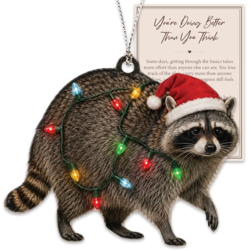 Raccoon Ornament - Raccoon 08 - Funny Christmas Tree Decoration