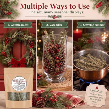 Christmas Simmer Potpourri Kit with Rosemary - 480g, 2 Pack Variation