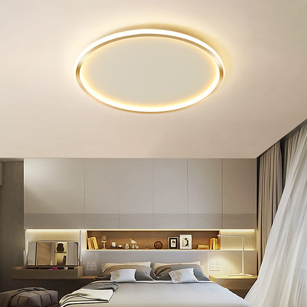 Dimmable LED Ceiling Light Fixture Flush Mount,24" Modern Round Recessed Ceiling Lamp with APP Adjustment,Gold 66W Close to The Ceiling Lighting Living Room Bedroom,3000K-6000K