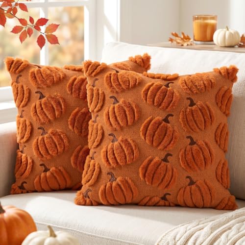 Orange Pumpkin Fall Pillow Covers 18x18 Set of 2 Plush Thanksgiving Decor