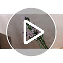 Rustic Dried Flower Bouquet with Statice & Forget-Me-Nots - 60 Stems