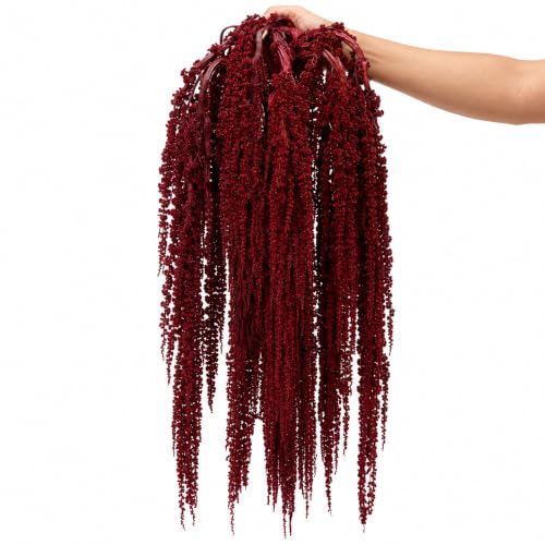10 Pcs Dried Burgundy Amaranthus Stems for Wedding Arch Decor - 23 Inch