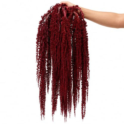 10 Pcs Dried Burgundy Amaranthus Stems for Wedding Arch Decor - 23 Inch
