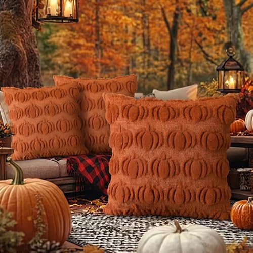 Orange Fall Pumpkin Throw Pillow Covers Set of 2, 18x18 Plush Cushion Case