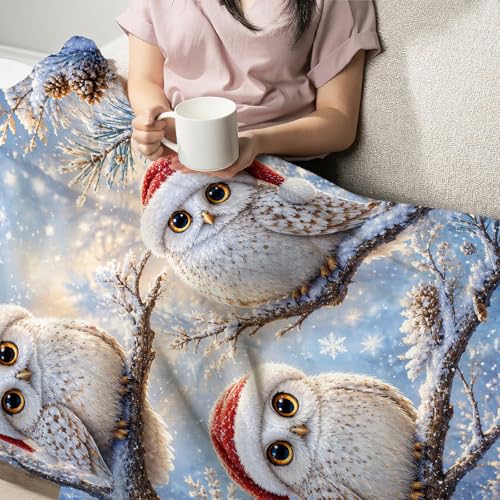 Christmas Owl Throw Blanket - Cute Owls Gift for Boys and Girls 50x40 Inches