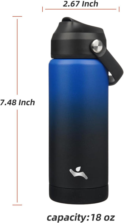 Skiennix Insulated Water Bottle - 18 oz Stainless Steel with Straw Lid & Silicone Handle | Black/Blue