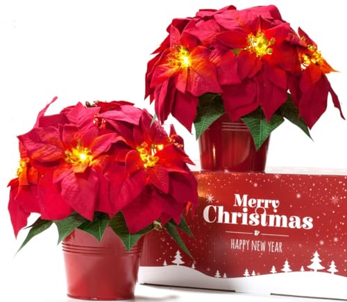 Velvet Red Artificial Poinsettia Flowers for Holiday Decor - 10 Inch LED Lighted Set