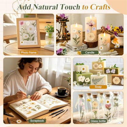 Boho Pressed Flowers Dried Florals for Scrapbooking Crafts & Home Décor - 120 PCS