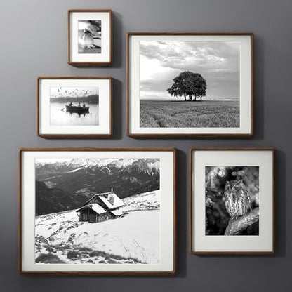 Rounded Walnut Photo Frame 12x16 Inches - 2 Pack, Solid Hardwood with Anti-Scratch Glass