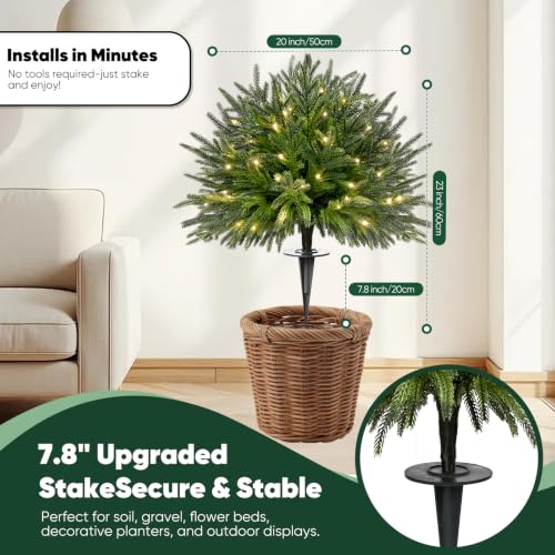Artificial Norfolk Pine Topiary Trees with Lights - Green Norfolk, Set of 2