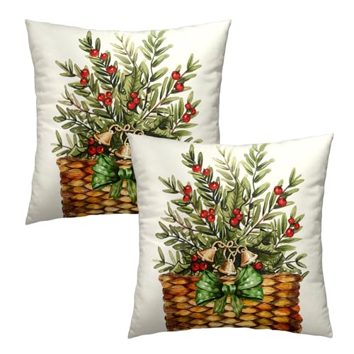 Winter Botanical Throw Pillow Covers 16x16 Inch Set of 2 Pine Branches Red Berries Basket