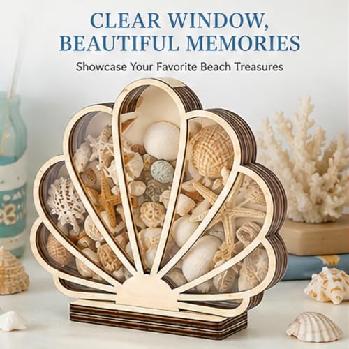 Wooden Seashell Shadow Box Display Stand Coastal Decor
