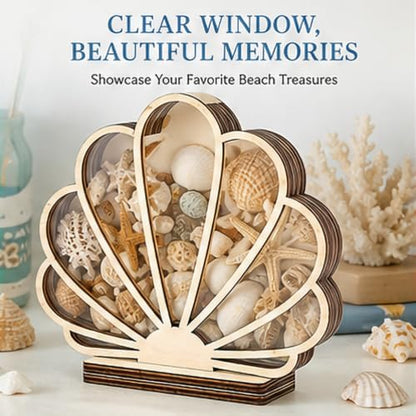 Wooden Seashell Shadow Box Display Stand Coastal Decor