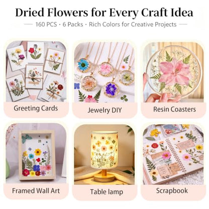 160 Pcs Natural Dried Flowers for Resin Crafts Jewelry Candle Making