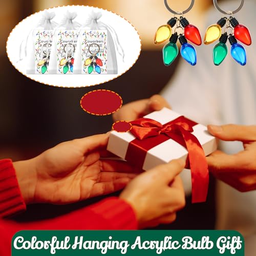 20-Piece Christmas Light Bulb Keychain Gift Set with Cards & Bags - Casual Variation