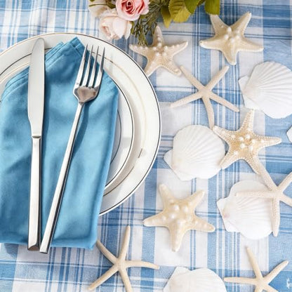 Natural Seashells for Crafts - 20 Pieces 2-3 Inch Ocean Decor Supplies