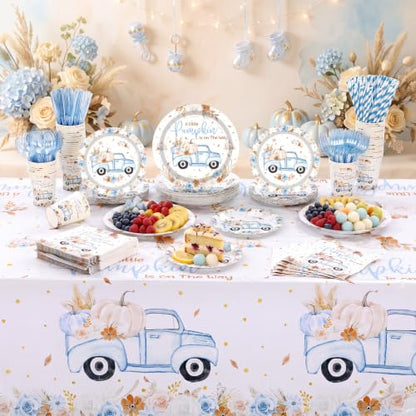Blue and Brown Little Pumpkin Baby Shower Party Tableware Set for 50 Guests