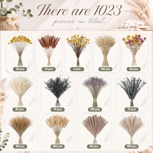 1023 Pcs Dried Flowers Pampas Grass Bundle Natural Preserved Botanicals
