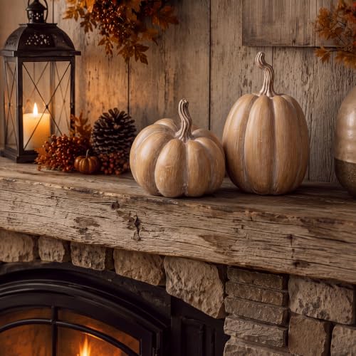 Fall Terracotta Faux Pumpkin Decor Set for Home Table Arrangements