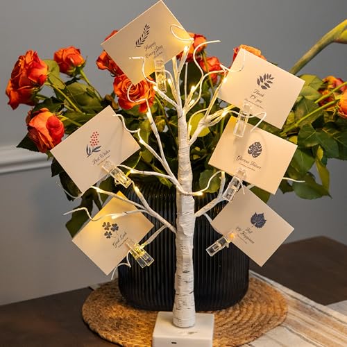 Lighted Money Tree Gift Holder with USB & Timer - 2FT Birch Tree for Holiday Decor