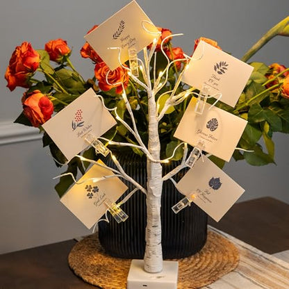 Lighted Money Tree Gift Holder with USB & Timer - 2FT Birch Tree for Holiday Decor