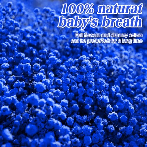 Mini Dried Baby's Breath Flowers - Royal Blue, 100 Pcs for Wedding Decor & Crafts
