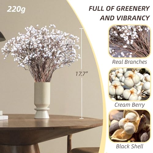 Dried Tallow Berries for Christmas Decor - 17-inch Natural Floral Stems