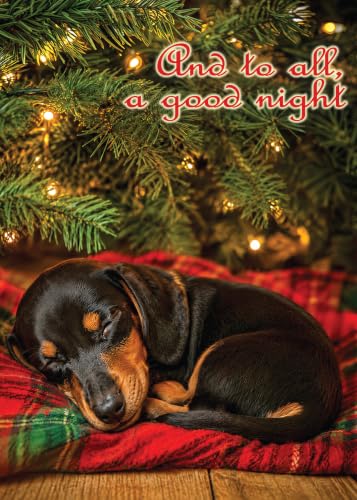 Dachshund Christmas Card Set - 12 Holiday Greeting Cards with Envelopes - Sleepy Dog Design - Boxed Pack of 12