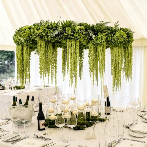 Green Preserved Amaranthus Hanging Flowers - 5 Pcs, 45 Inches