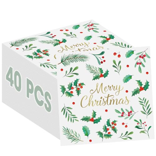 Christmas Paper Napkins 40 Pcs - 13 Inch Holiday Cocktail Dinnerware Set