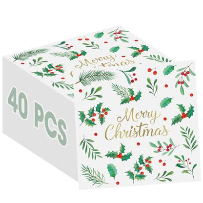 Christmas Paper Napkins 40 Pcs - 13 Inch Holiday Cocktail Dinnerware Set
