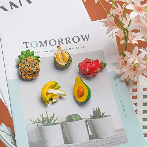 Refrigerator Magnets 5PCS Fruit Set Cute Kitchen Decor - Fruit-A Variation