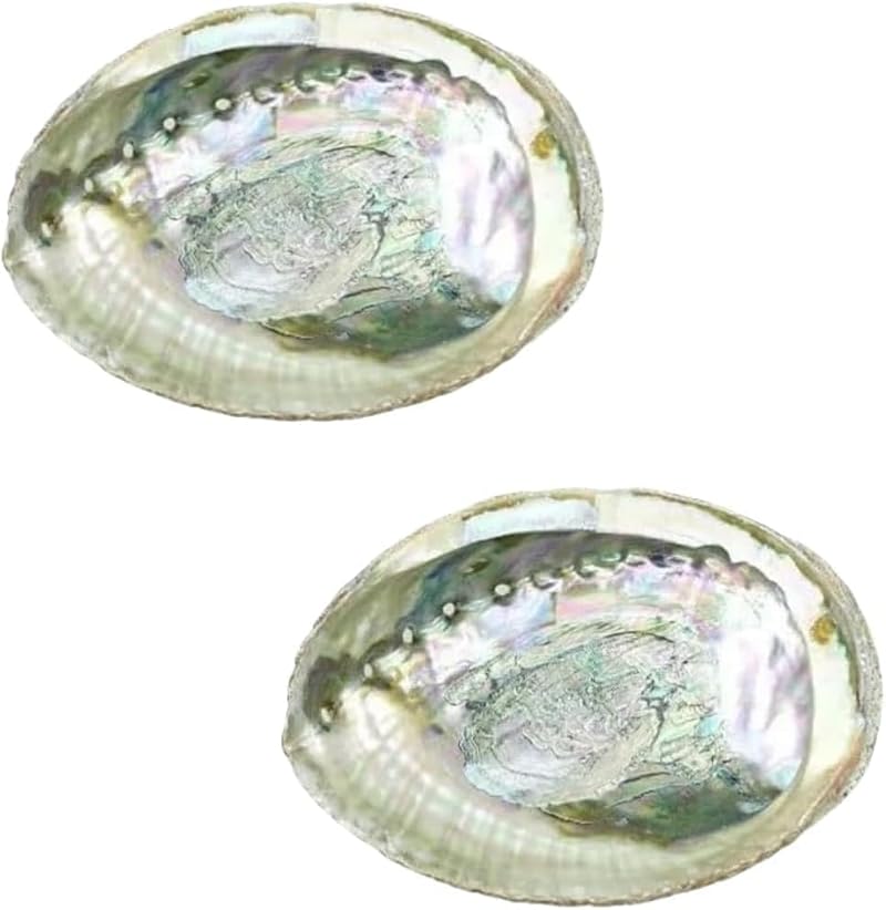 Large Abalone Shell Bowls Set for Smudging Incense and Decor - 4 to 4.5 Inches