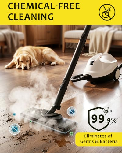 300°F Steam Cleaner for Home with 20 Accessories - White
