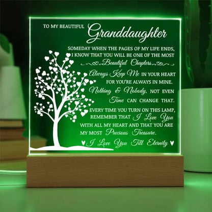 Granddaughter Gift Acrylic Plaque with Decorative LED Light - Heartwarming Keepsake