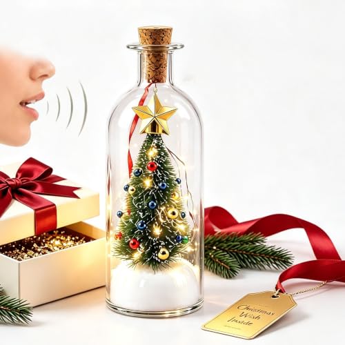 Christmas Snow Globe with Voice Recording and Festive Scene